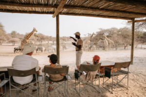 Thamo Telele Safari Lodge, Maun Botswana